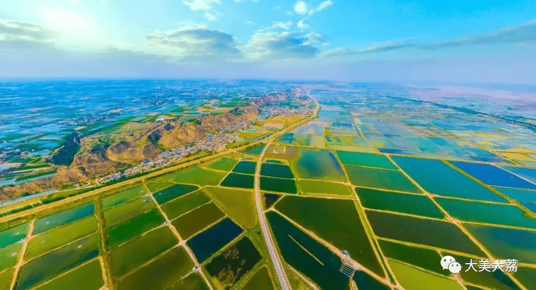 大美大荔最美黃河溼地