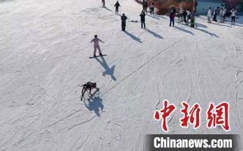 上海交大自主设计研发滑雪机器人助力“科技冬奥”