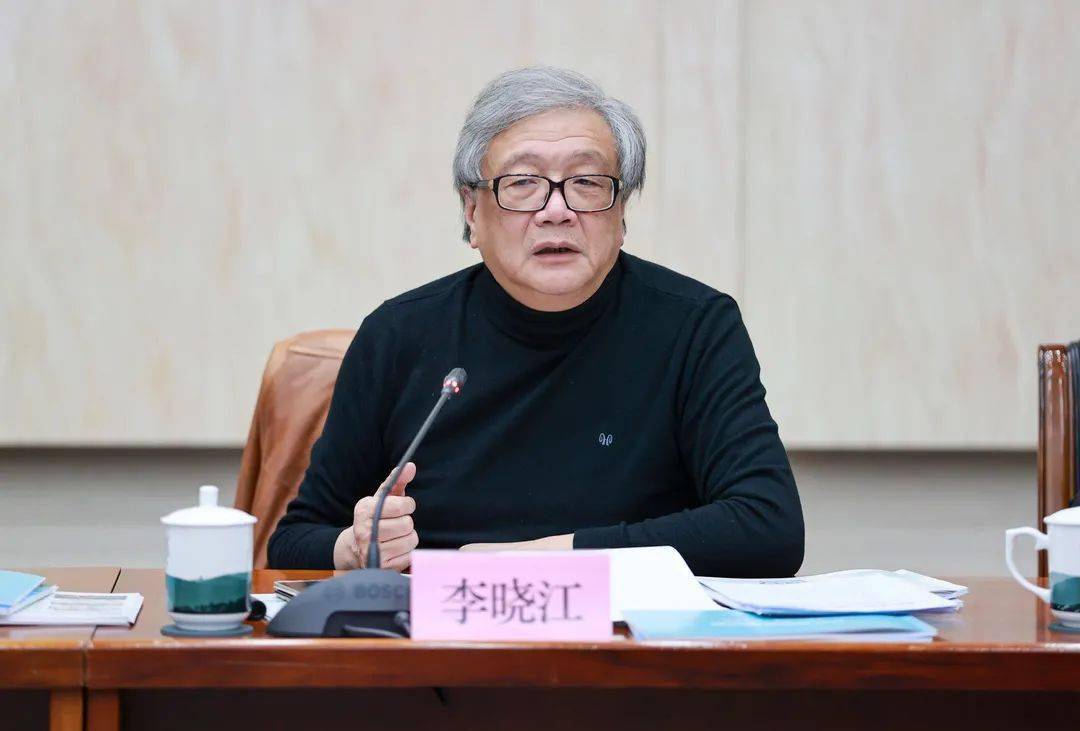 ▼建设性意见对桥林新城战略规划分别提出了李晓江,韩冬青,张京祥三位