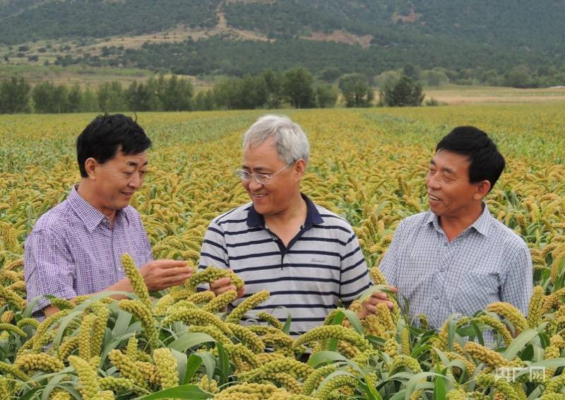 【开局十四五】 辽宁：东北振兴激活绿色智造红利 老工业基地变身吸金“强磁场”