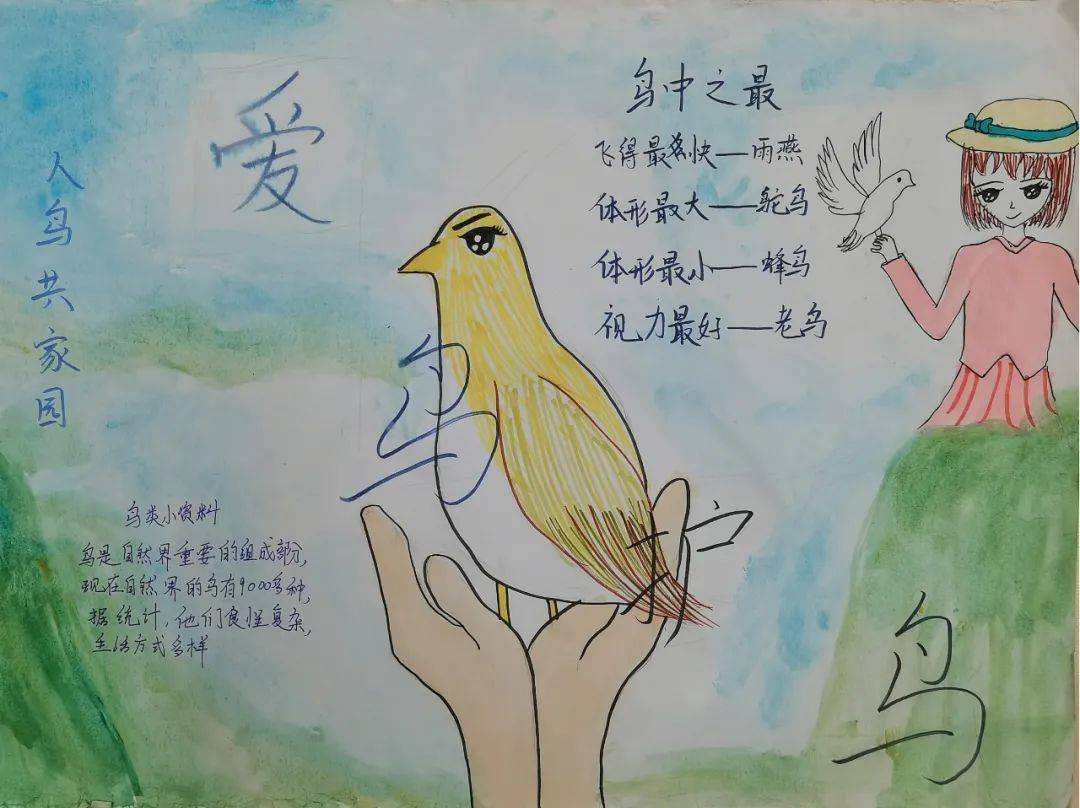 滨海科普依法保护候鸟守护绿色家园