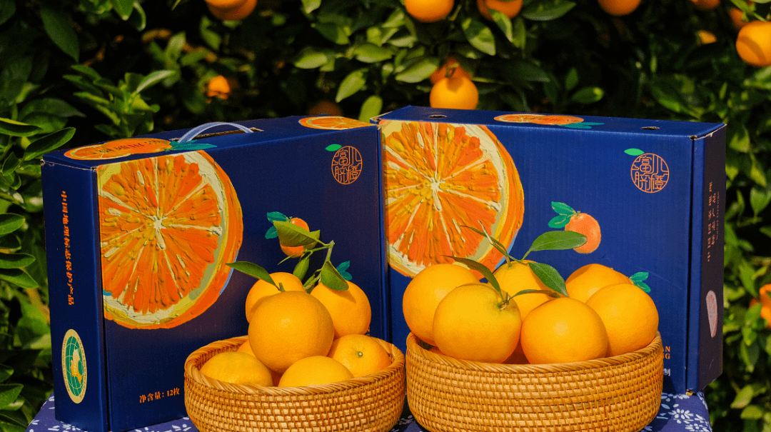 论好吃富川脐橙必有前三