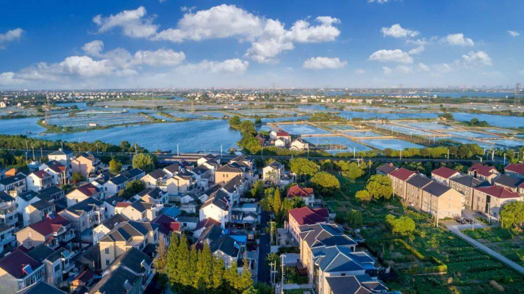 农墨重彩书写新时代鱼米之乡七都篇章