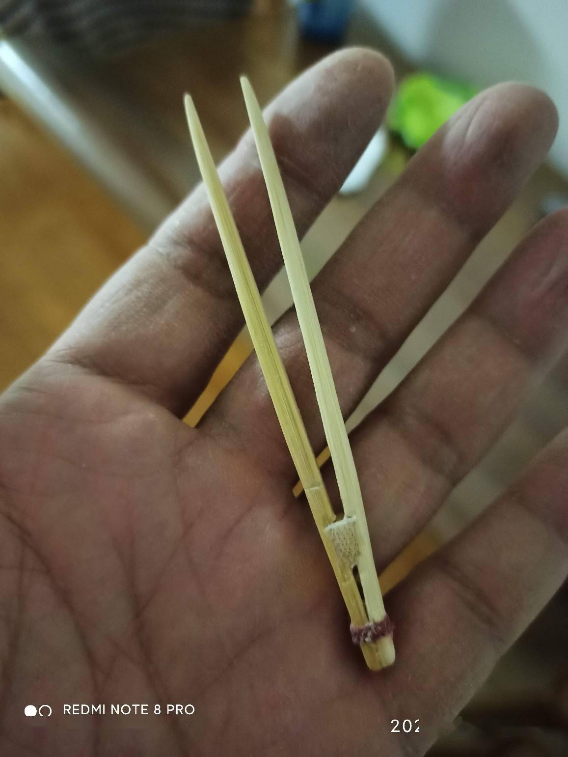 「diy」一次性筷子也能"变身"垂钓利器_镊子_钓鱼人_两条腿