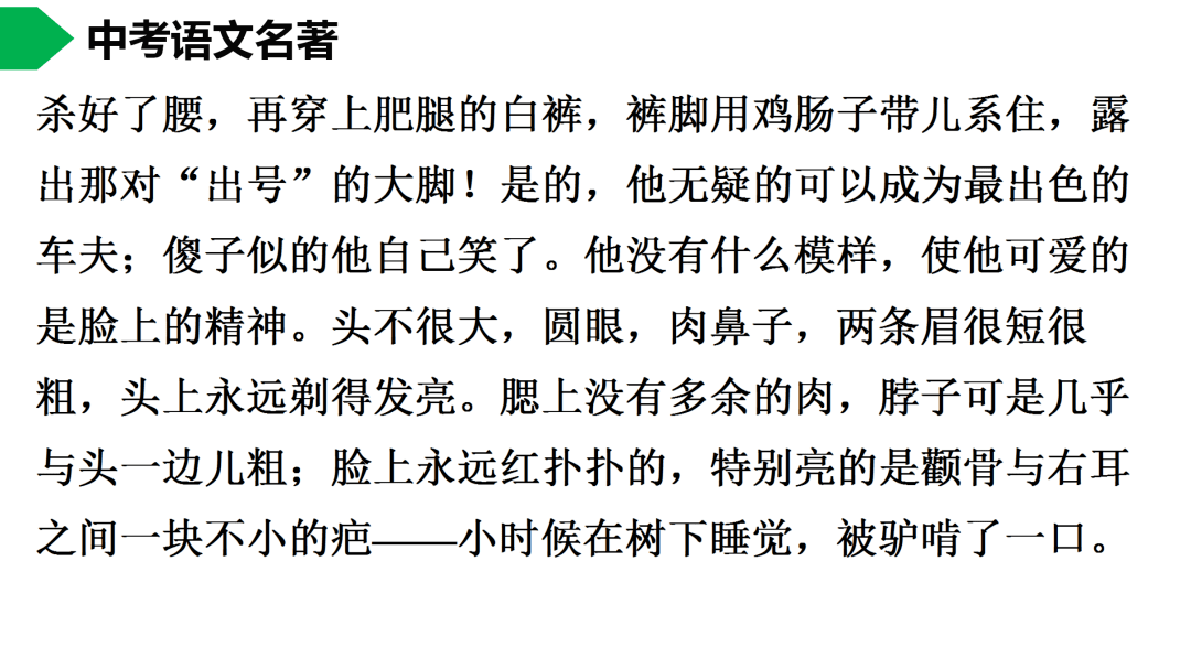 祥子|初中语文 | 七年级下册：《骆驼祥子》名著导读+思维导图 +考点合集，寒假预习必收！