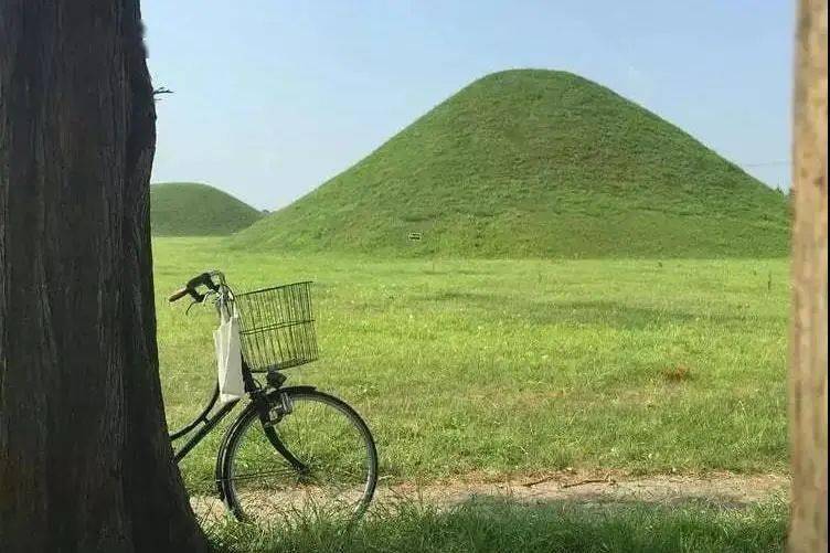 场合 新年穿搭一定要高级！这4组配色穿对了，轻松应对各种场合！