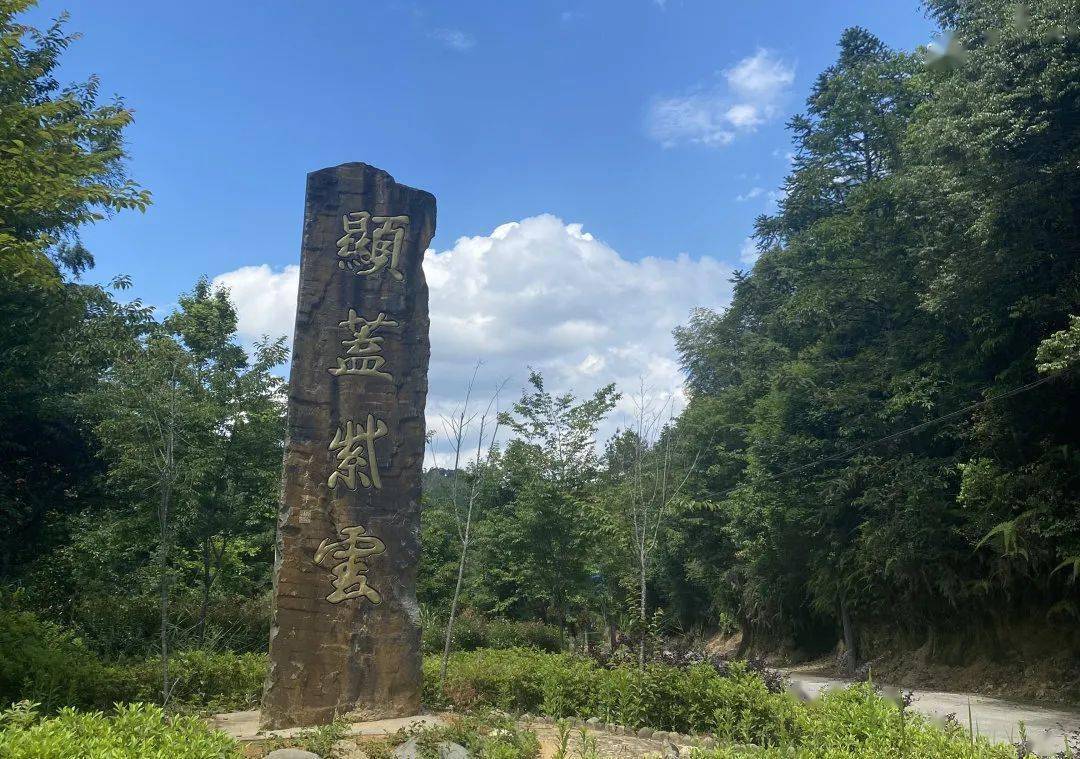 三明网红打卡地春节七天乐到明溪紫云村观鸟基地感受宁静乡村乐享醉氧