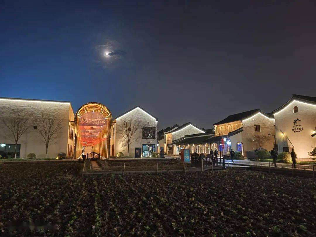 四款骁龙8系列手机拍照横评！各有各的离谱。。。