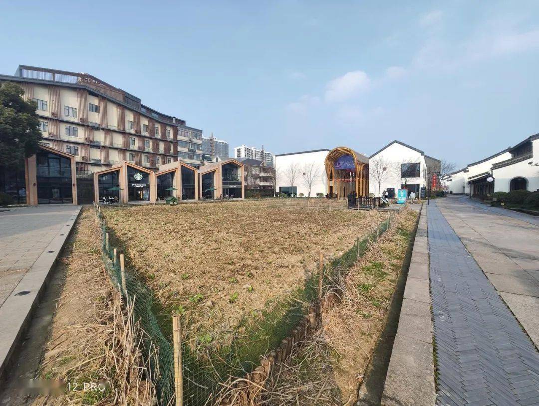 四款骁龙8系列手机拍照横评！各有各的离谱。。。