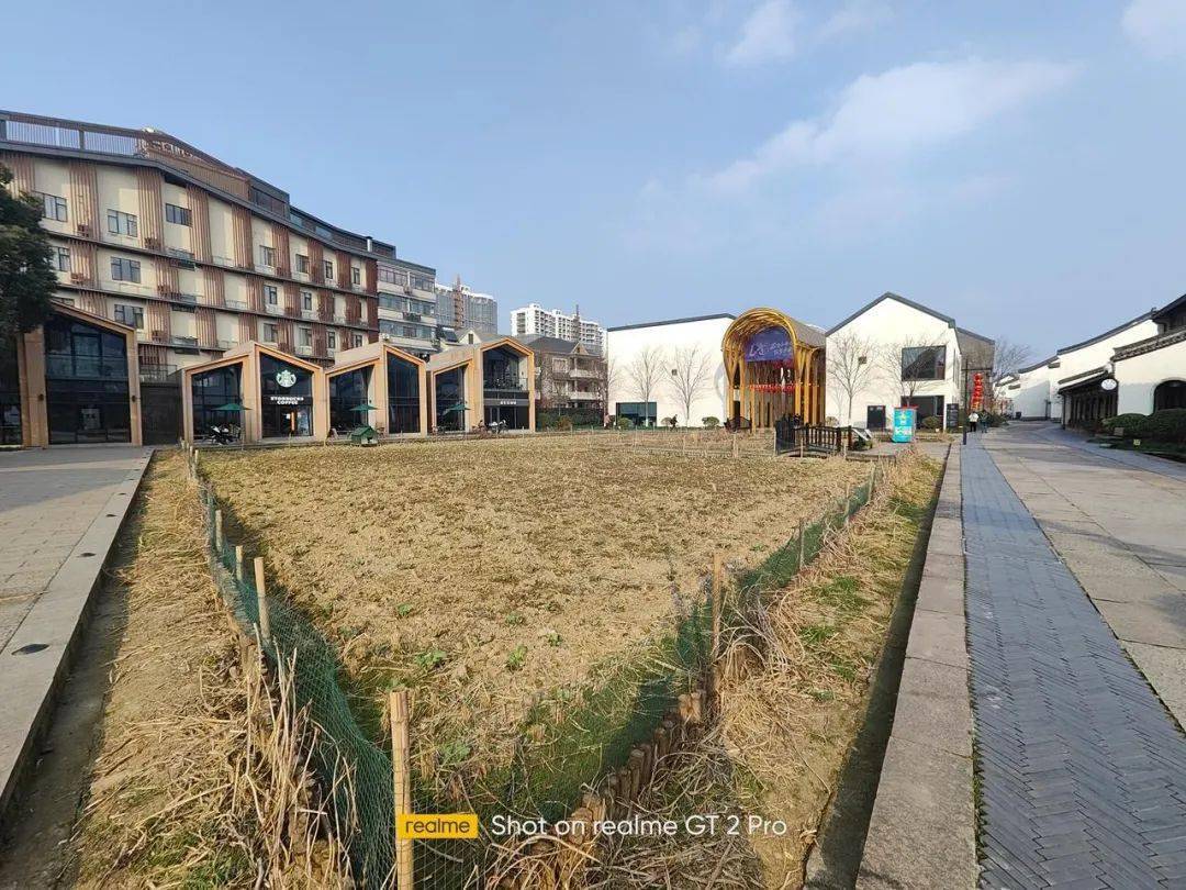 四款骁龙8系列手机拍照横评！各有各的离谱。。。