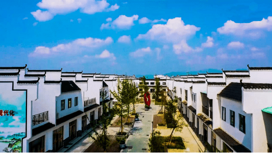彭泽:回乡的路"幸福微甜"_田园_浪溪镇_吴志梅