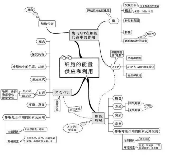 高中|高中九大学科思维导图最全汇总，高中三年都适用！（收藏）
