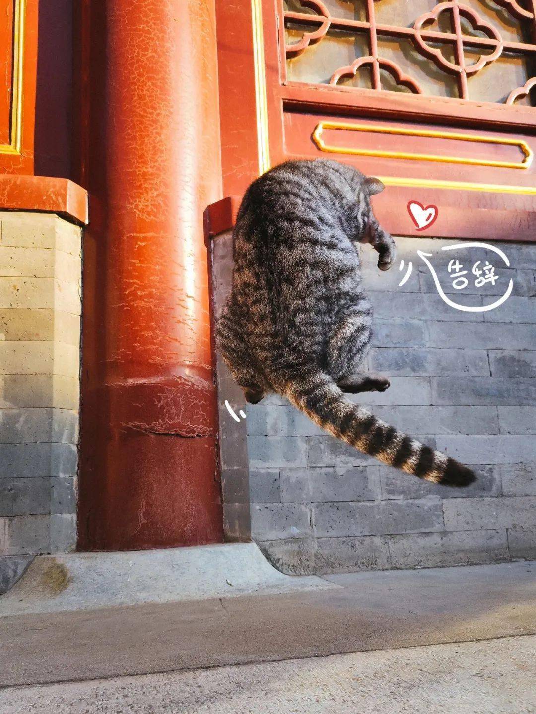 贺岁|顶流明星贺岁,送你全年表情包