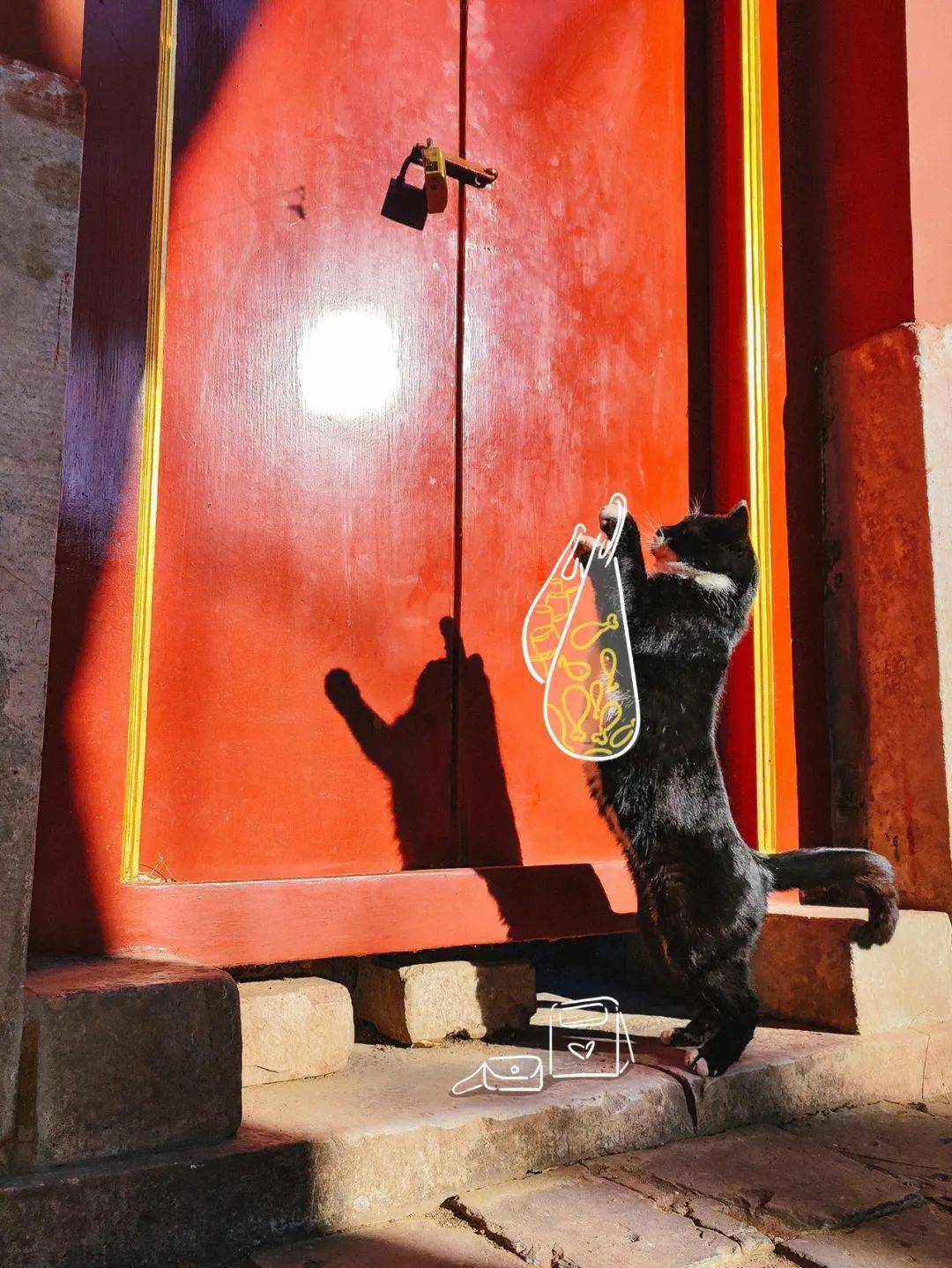 贺岁|顶流明星贺岁,送你全年表情包