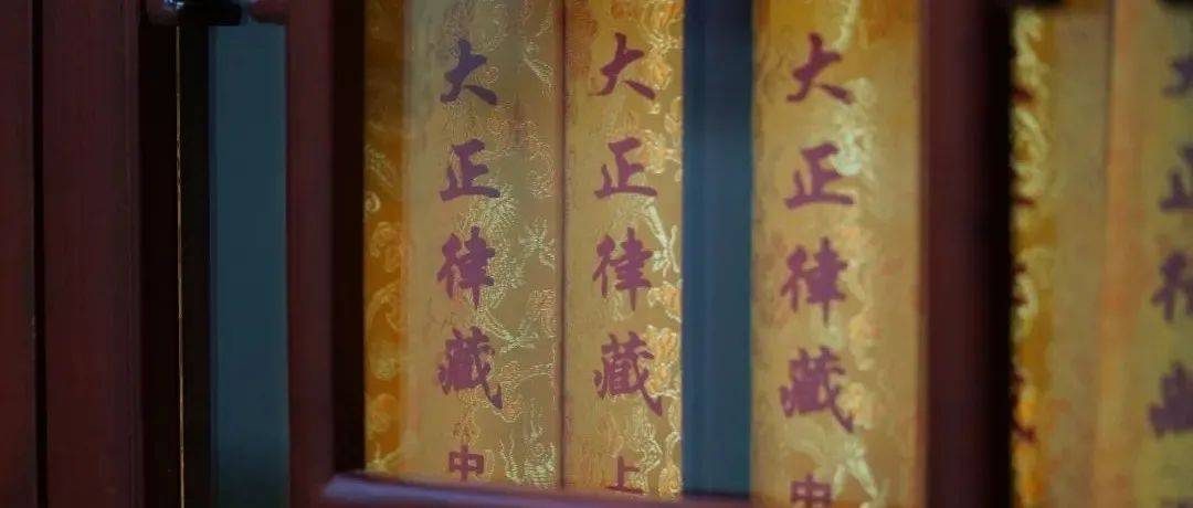 兜率学苑|戒法、戒体、戒行与戒相_情境_上品_誓愿