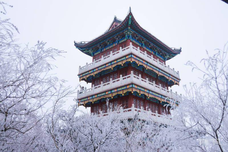 景区|玉树琼花！持续降雪后河南云台山出现雾凇景观