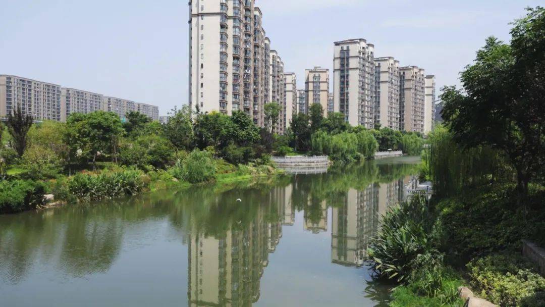 清水绿堤家门口的河湖生态缓冲带建设初显成效