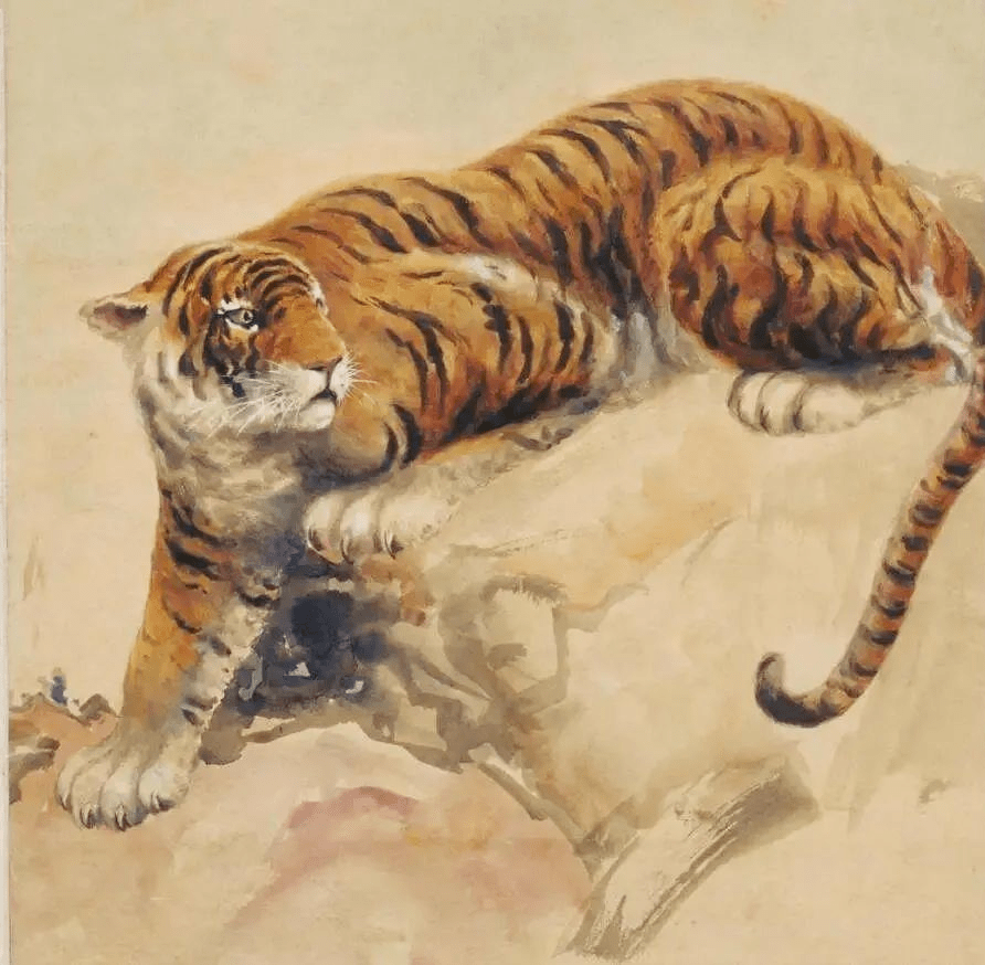比如,徐696969696969悲鸿画的就不是"猛虎",而是"萌虎".
