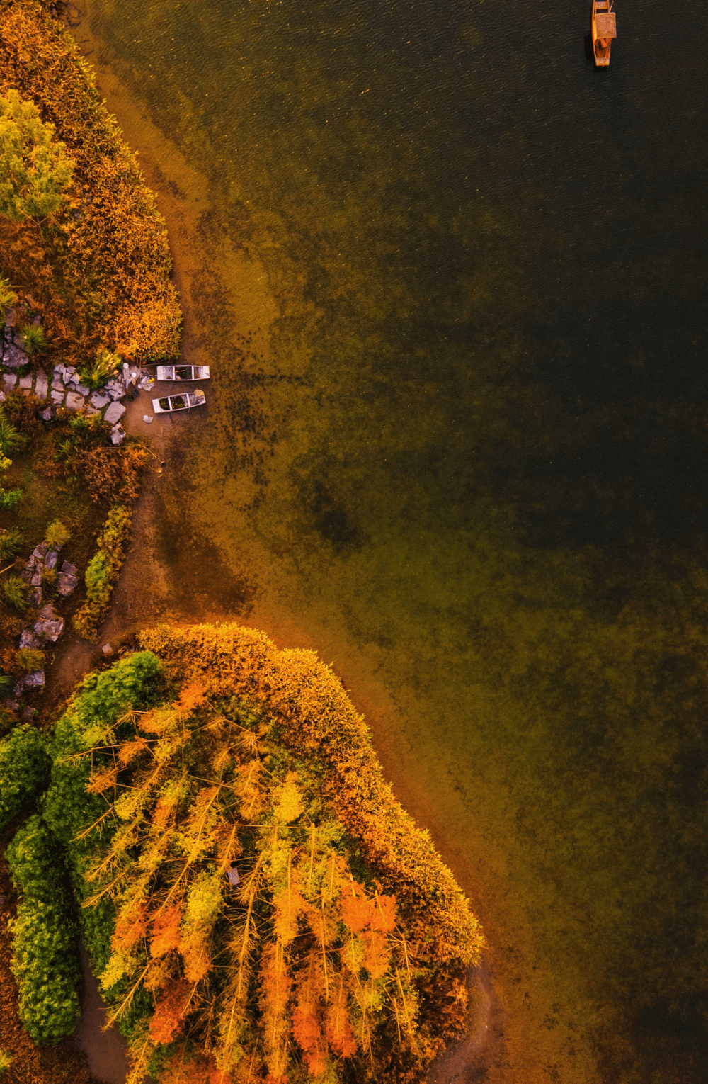 美不胜收!缤纷冬日看重庆生态