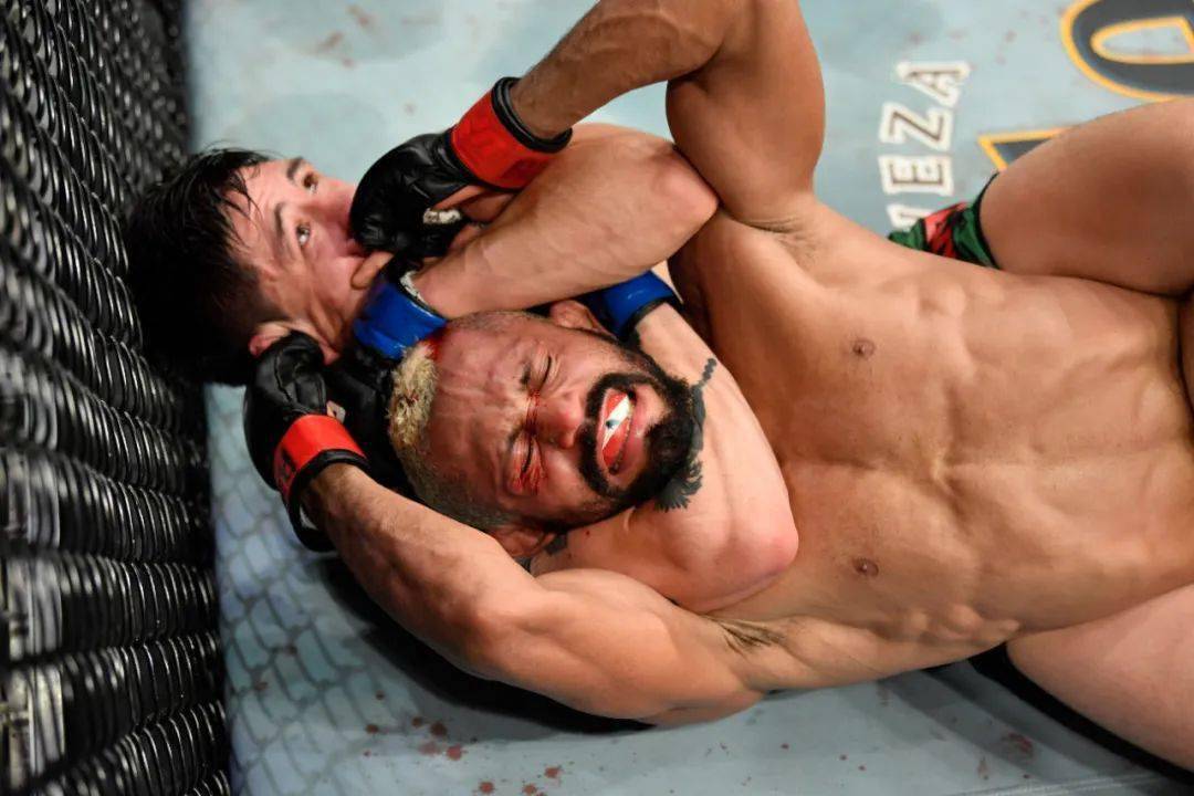 绅士与猛兽 | ufc270前瞻_格雷多_盖恩_莫雷诺