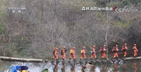 福建|森林火警电话你知道吗？武夷山国家公园动植物种类丰富 森林消防加强巡护