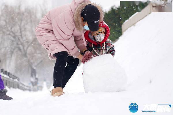 市民|郑州连日降雪秒变“雪地游乐场”市民玩嗨了