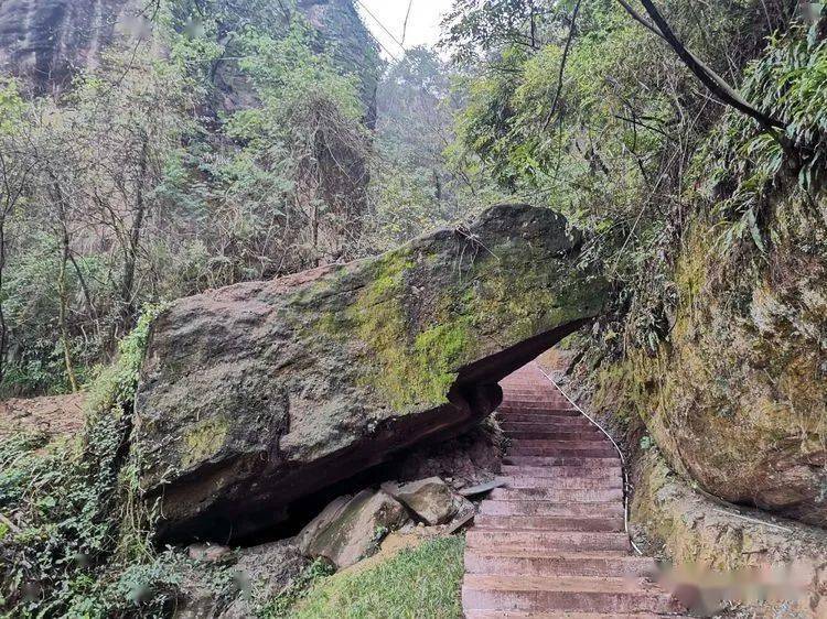 永安地標新名片蓮花山公園實地探訪玻璃天橋魔幻隧道等現雛形