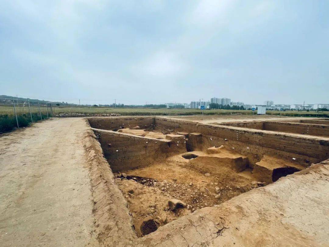 河南登封王城岗遗址图片