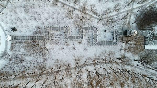 雪景|河北滦南：北河雪景美如画