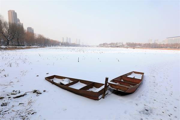 雪景|河北滦南：北河雪景美如画