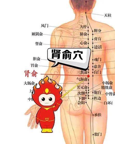 肾为先天之本什么是后天之根 14efe39898df4dbaabfcaf6a7dd647fb.jpeg