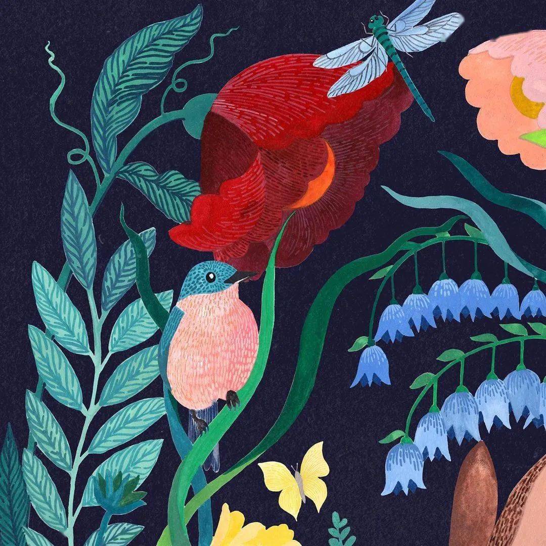 哇塞原来水彩平涂也这么美超强的装饰效果张张动人心魄我反手就是一个