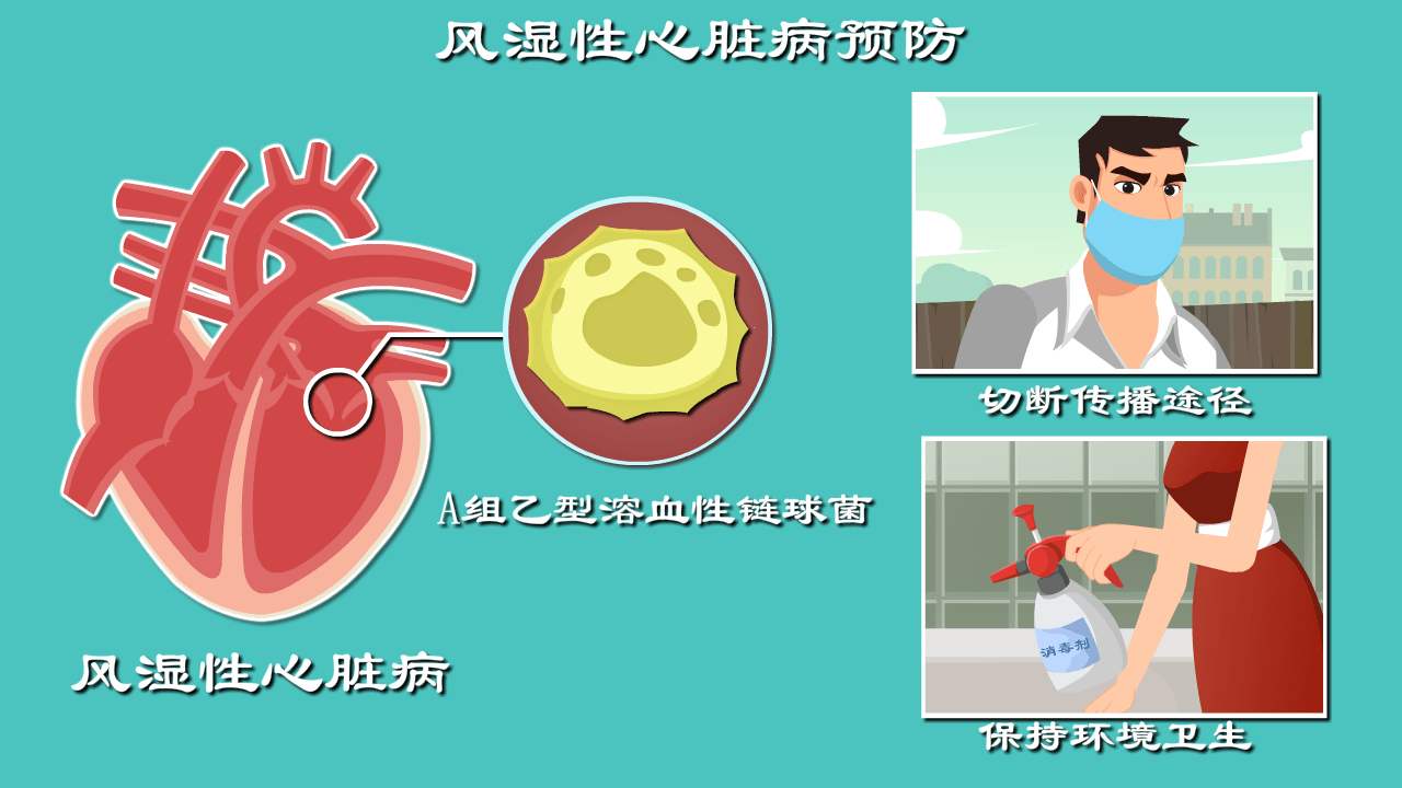 链球菌大闹心脏揭秘风心病是如何破坏心脏瓣膜的前方核能