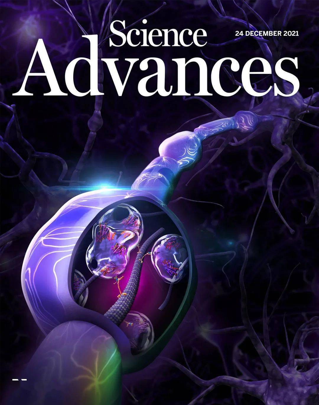 研究所的研究人员在science advances期刊发表了题为:endosomal