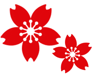 有哪些适合过年期间摆放在家里 又充满美好寓意的植物 看这里 养护 千层金 雪柳