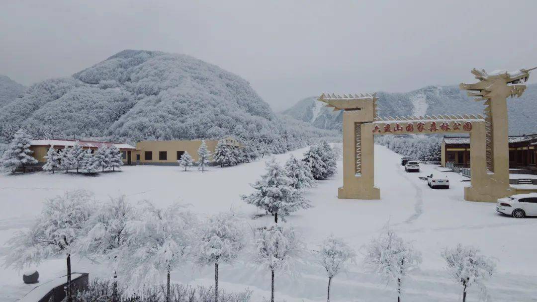 冬日的一场雪,美醉了整个六盘山…_美乡村_雪花_固原