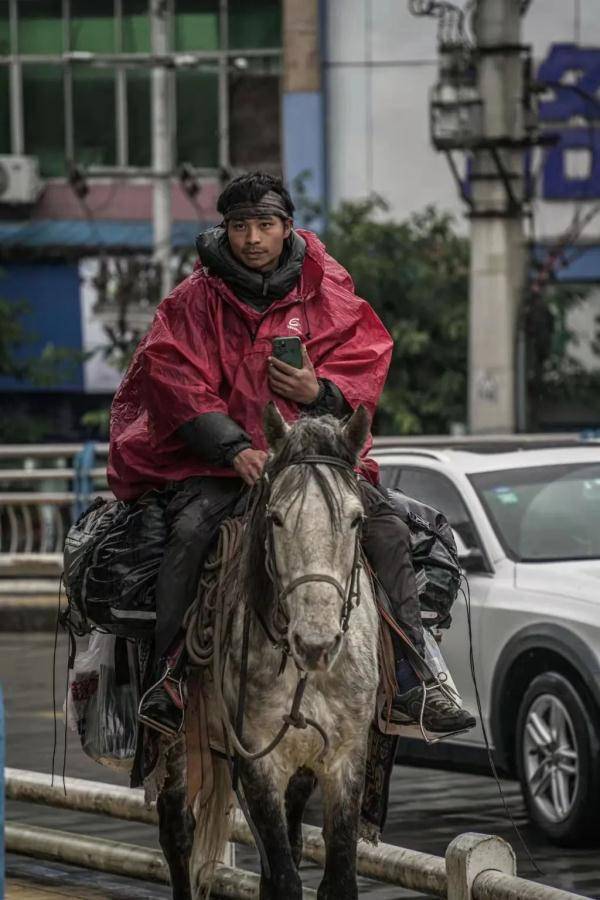 历时半年 重庆小伙从新疆骑马4400公里回渝