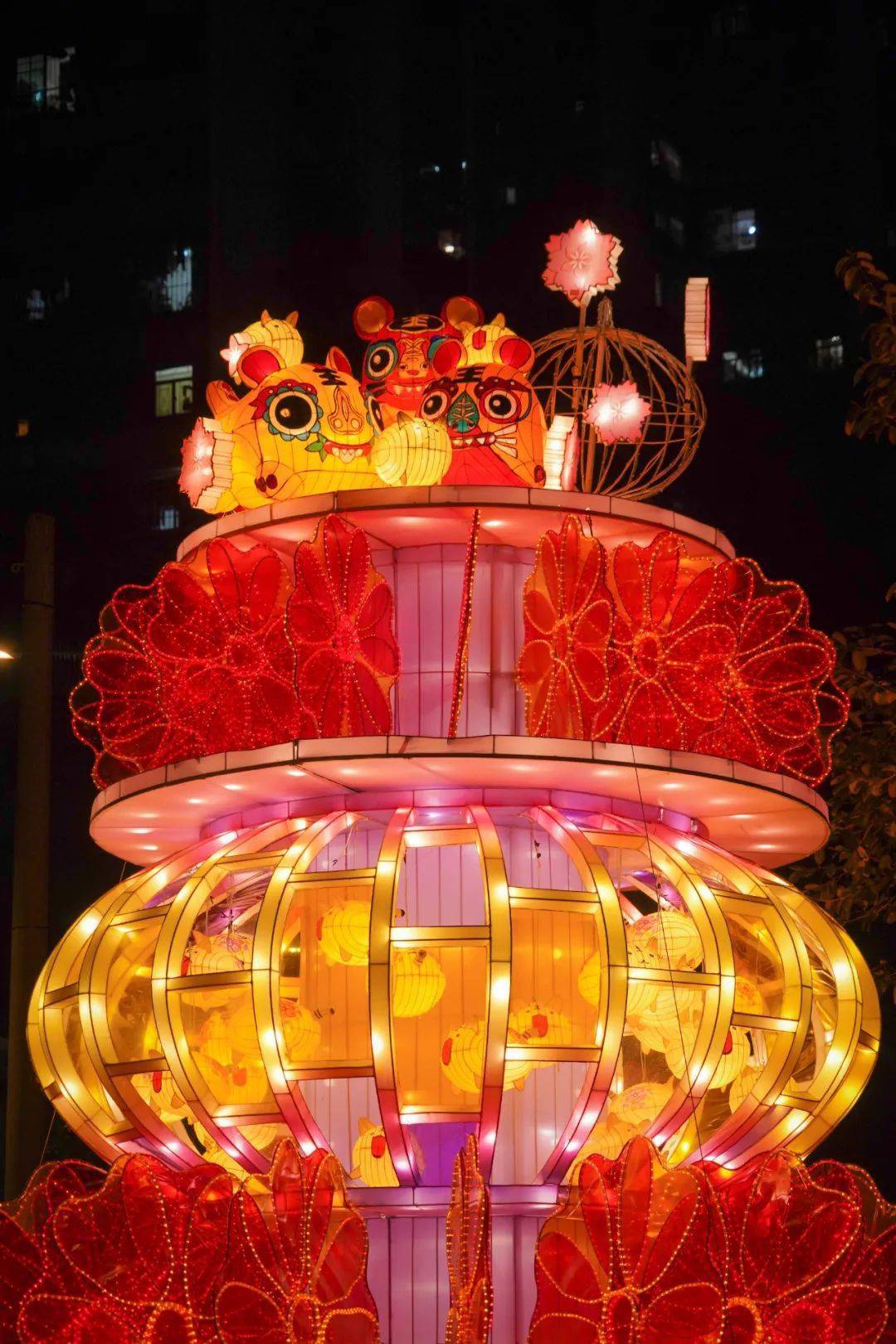 年味渐浓澳门新春灯饰点亮全城