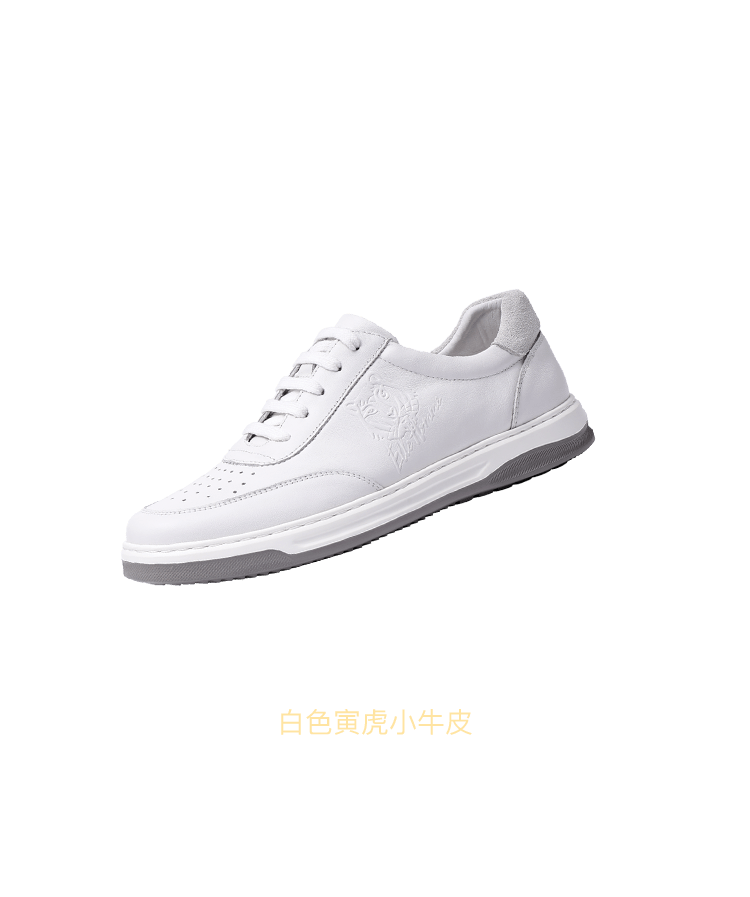 瑞迎鸿虎，大飒四方