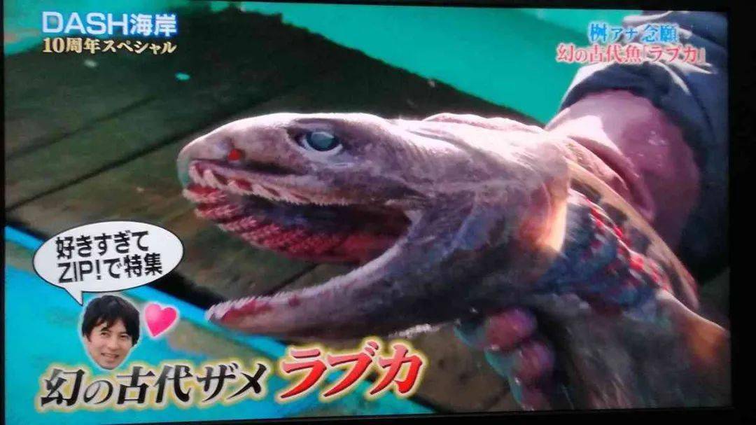 学术|日本知名主持突然宣布转行搞学术,观众大呼寂寞:你走了我们看啥?