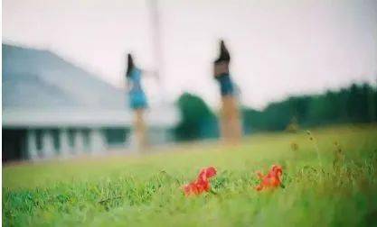 什么叫相处舒服的人 d0c4771ffa4f461b9f7973064445d839.jpeg