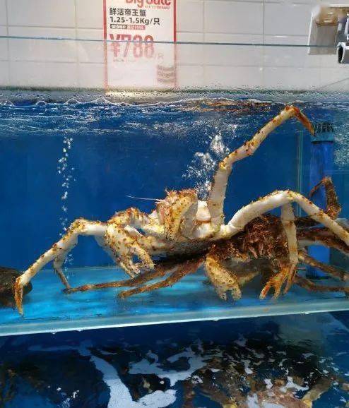 种类|这些年货采购地已备好，坚果、糕点、零食、熟食赶紧囤起来吧！