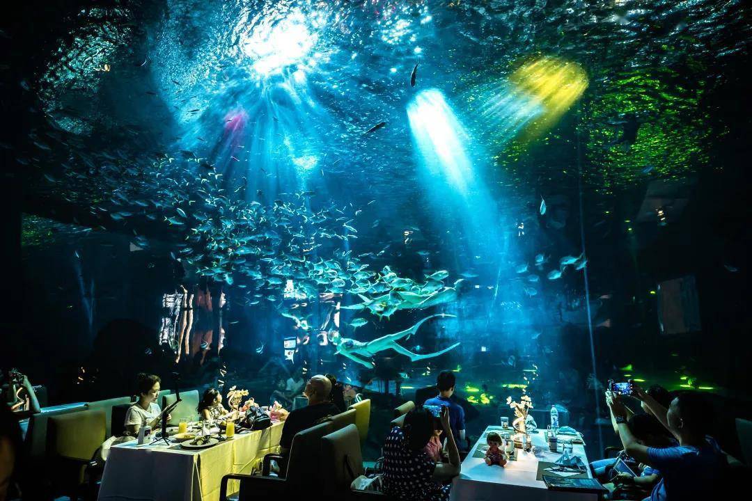 全球首个仿生鲸鲨亮相上海：长4.7米，能上浮下潜自主游动