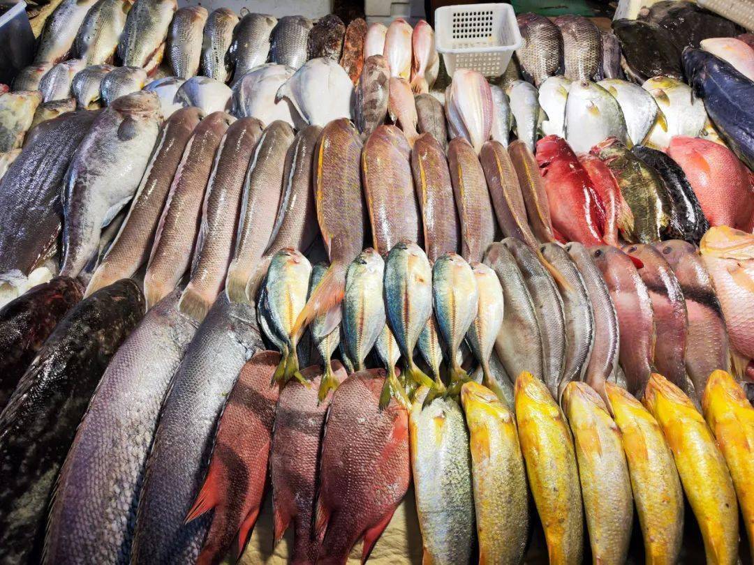 牛铭乾|错过这波，只能明年再见！