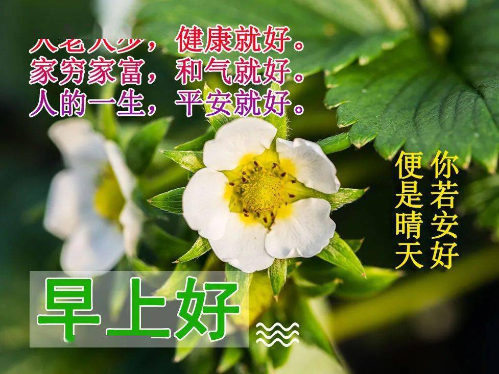 最新漂亮群發早上好動態圖片帶字今天又是全新的一天