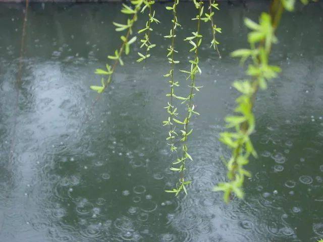 什么叫诗意 5fbc0b3ead9e4fc78c3505f4b45db101.jpeg