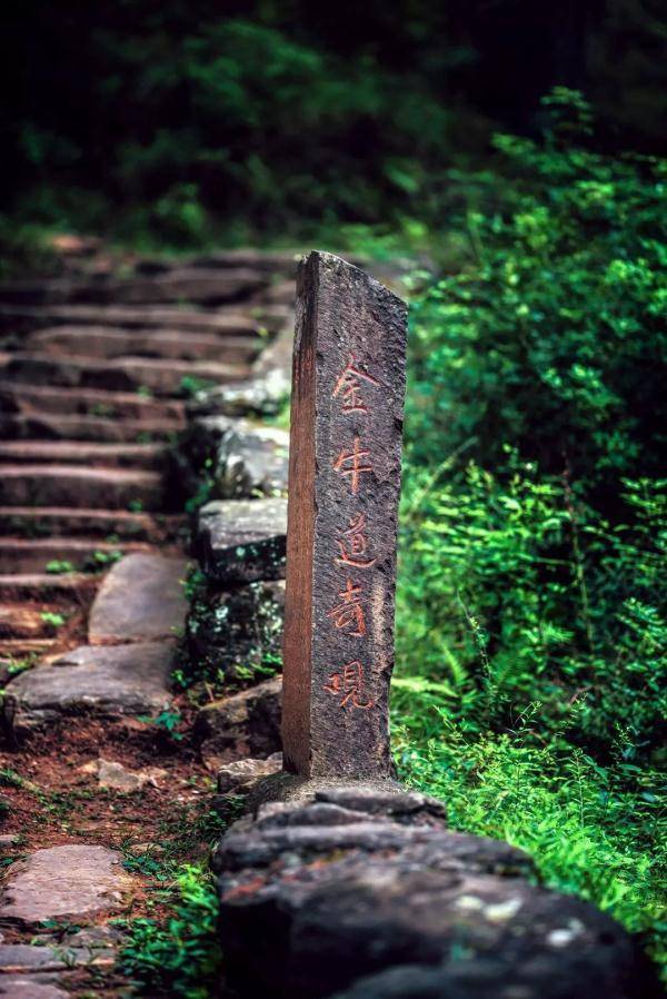 唐家河|就在广元过年！这些春节旅游新玩法，给你安排得明明白白！