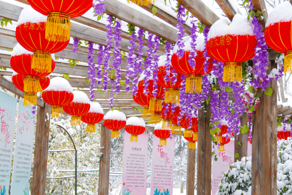 1月31日起，郑州绿博园恢复开园！