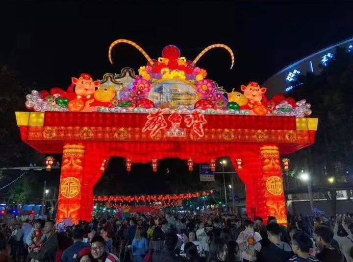 传统迎春花市 已经 暂停 三年了 广州人 朋友 年味