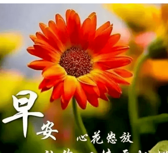 49b56259aad7467e82bb4f17a03c9d85.png